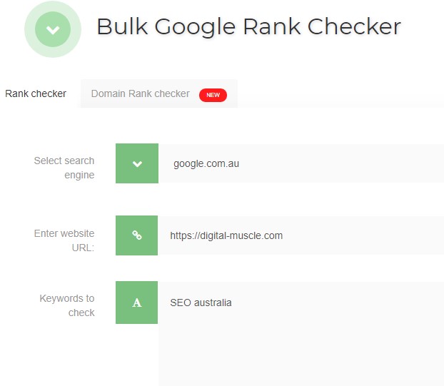 Bulk Google Rank Checker screen